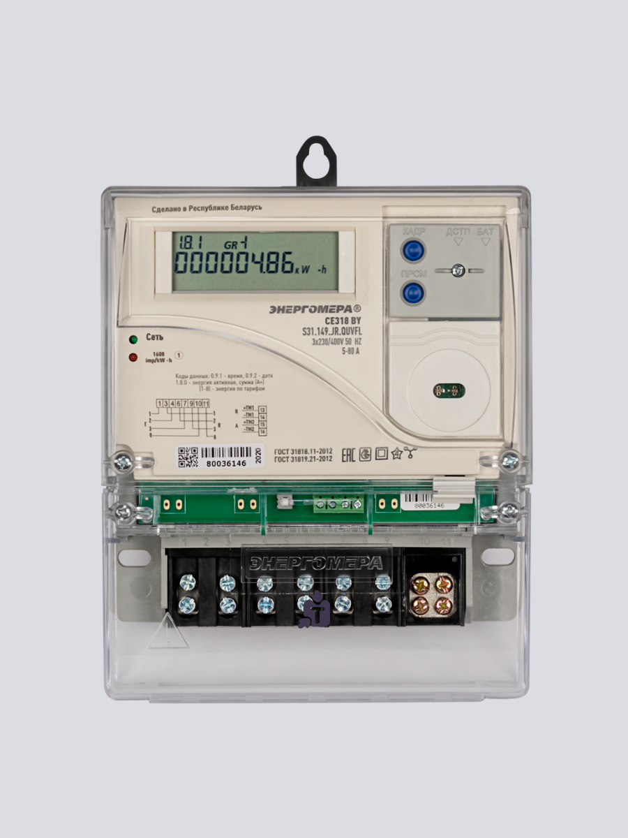 scetcik-elektroenergii-energomera-ce318s31_77933.png